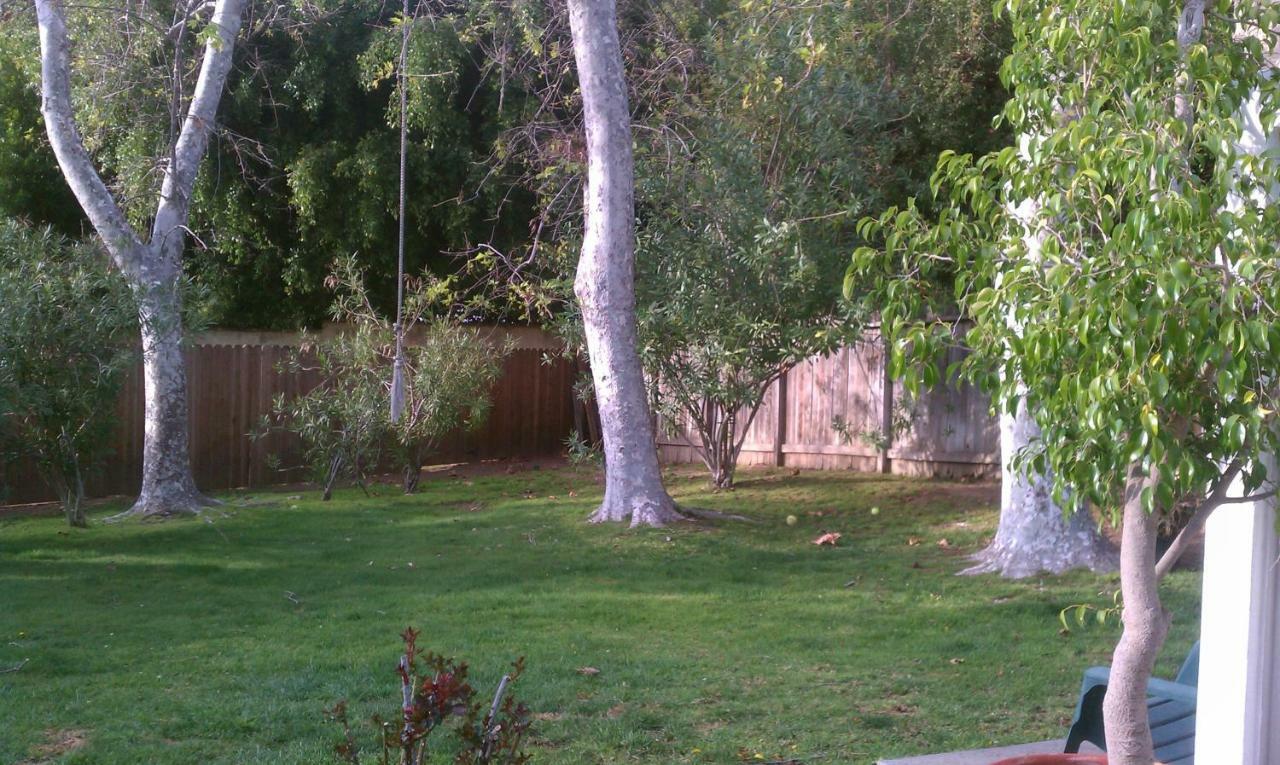 Heaven'S Best Kept Secret 4 Min From The Sea Los Ángeles Exterior foto