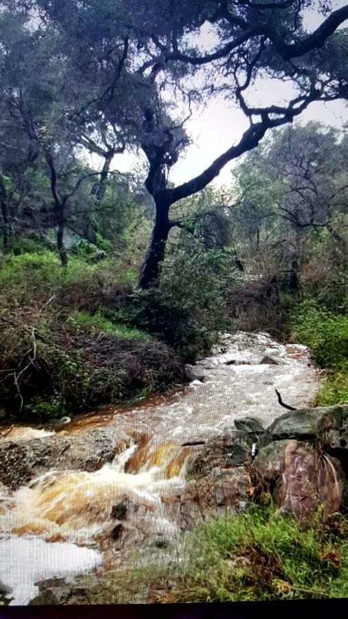 Heaven'S Best Kept Secret 4 Min From The Sea Los Ángeles Exterior foto